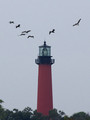 JupiterLighthouse_K507991